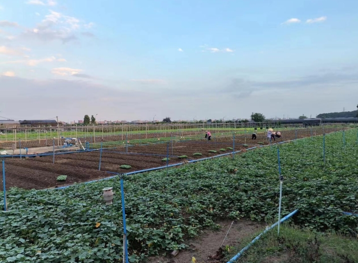 �V��ʳ�����͹�˾�v��o(w��)�������Gɫ���ЙC���߲˵ą^�e