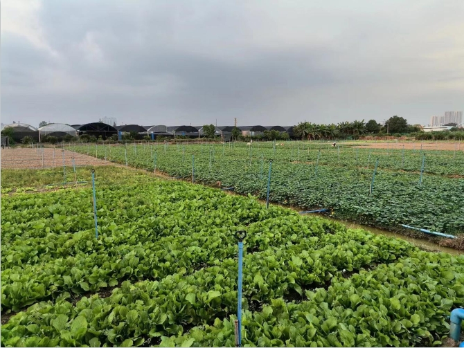 �V���ЙC�߲����ͽ�����ηֱ�����ЙC�߲�